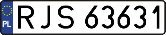 RJS63631