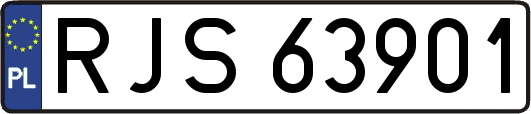 RJS63901