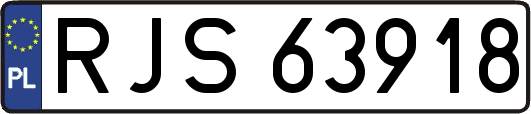 RJS63918