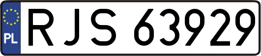 RJS63929