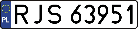 RJS63951