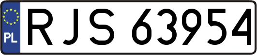 RJS63954