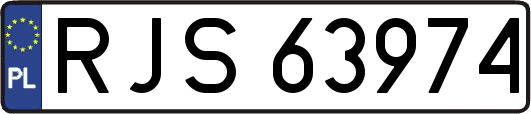 RJS63974