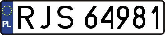 RJS64981