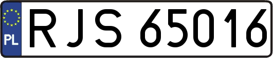 RJS65016