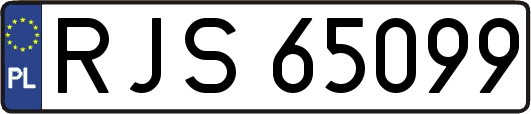 RJS65099