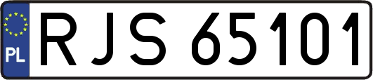 RJS65101