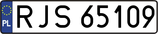 RJS65109