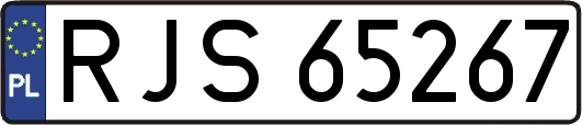 RJS65267