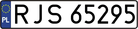 RJS65295