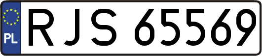 RJS65569