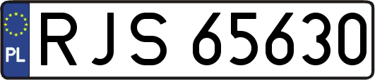 RJS65630