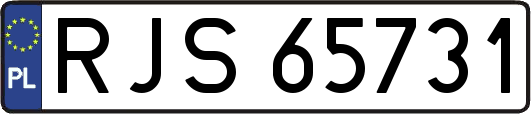 RJS65731