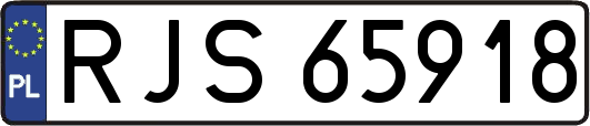 RJS65918