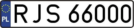 RJS66000
