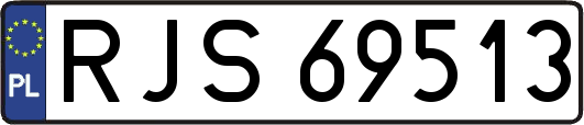 RJS69513