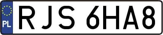 RJS6HA8