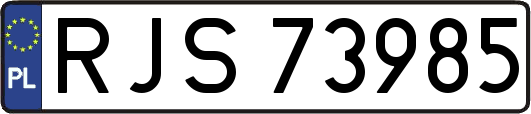 RJS73985
