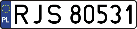 RJS80531