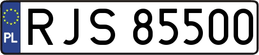 RJS85500