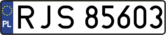 RJS85603