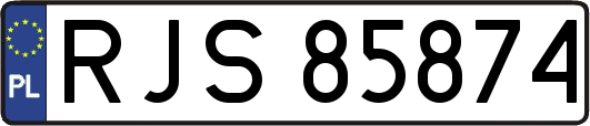 RJS85874