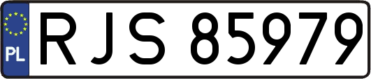 RJS85979