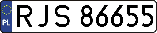 RJS86655