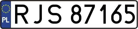 RJS87165