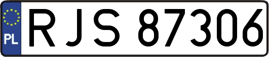 RJS87306
