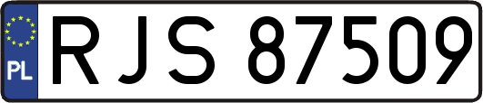 RJS87509
