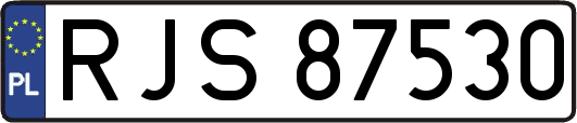 RJS87530