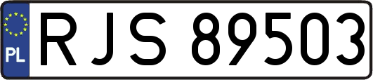 RJS89503