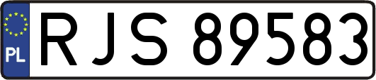 RJS89583
