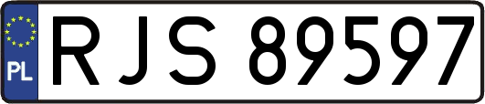 RJS89597