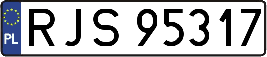 RJS95317