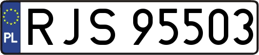 RJS95503