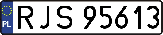 RJS95613