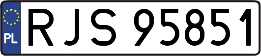 RJS95851