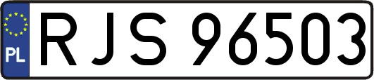 RJS96503