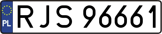 RJS96661