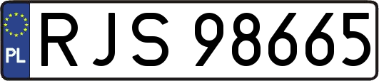 RJS98665