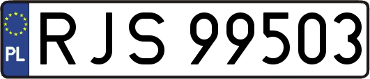 RJS99503
