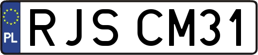 RJSCM31