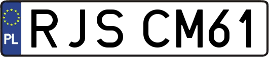 RJSCM61