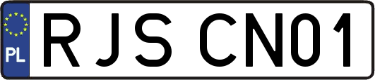 RJSCN01