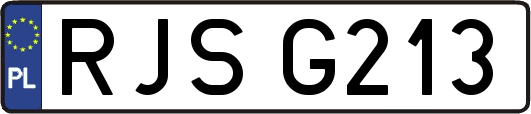 RJSG213