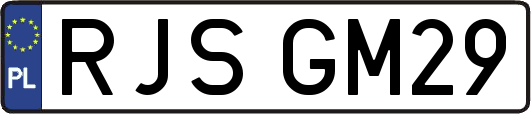 RJSGM29