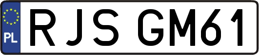 RJSGM61