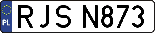 RJSN873